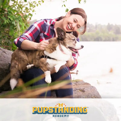 Dog Training and Behavior Consulting Seattle
