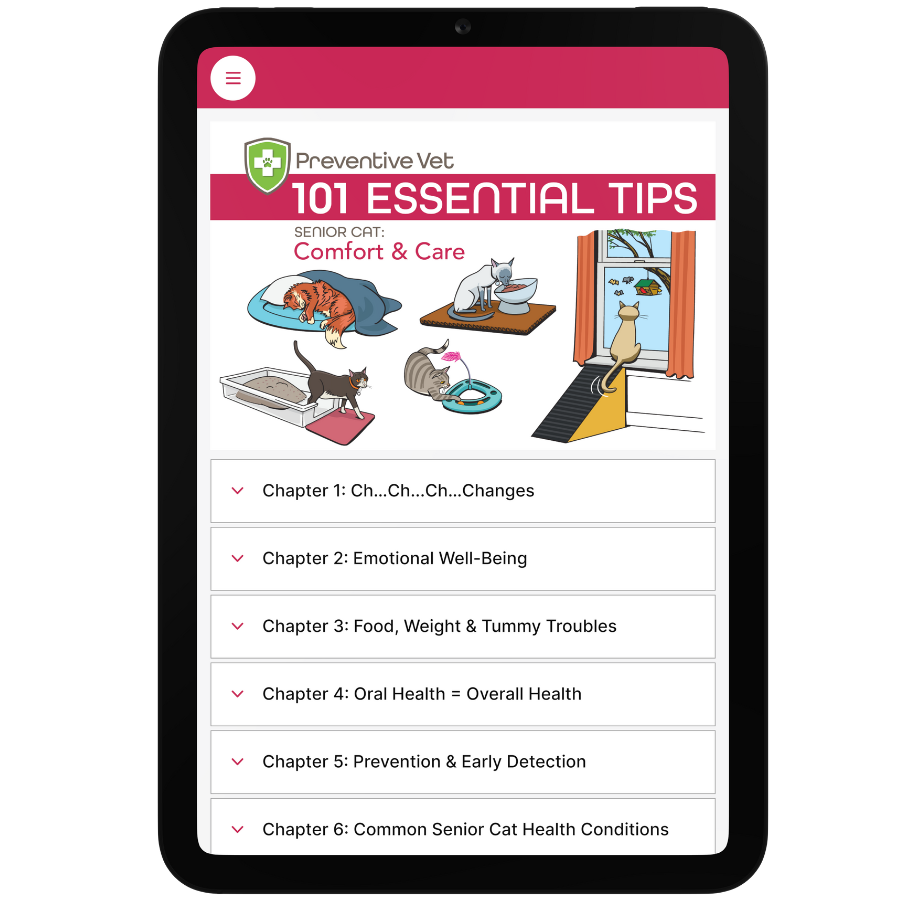 101 Essential Tips Digital Book – Senior Cat, Comfort & Care