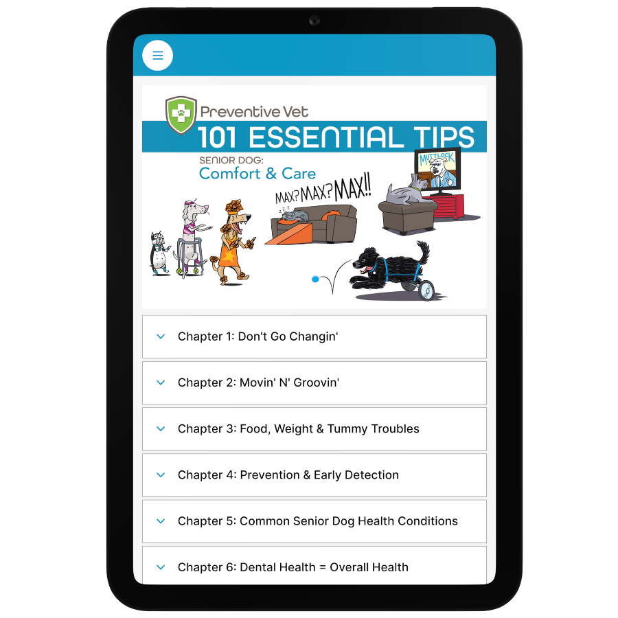 101 Essential Tips Digital Book – Senior Dog, Comfort & Care