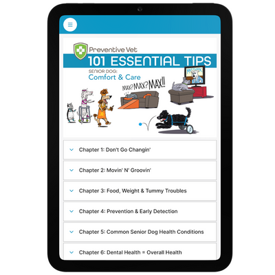 101 Essential Tips Digital Book – Senior Dog, Comfort & Care