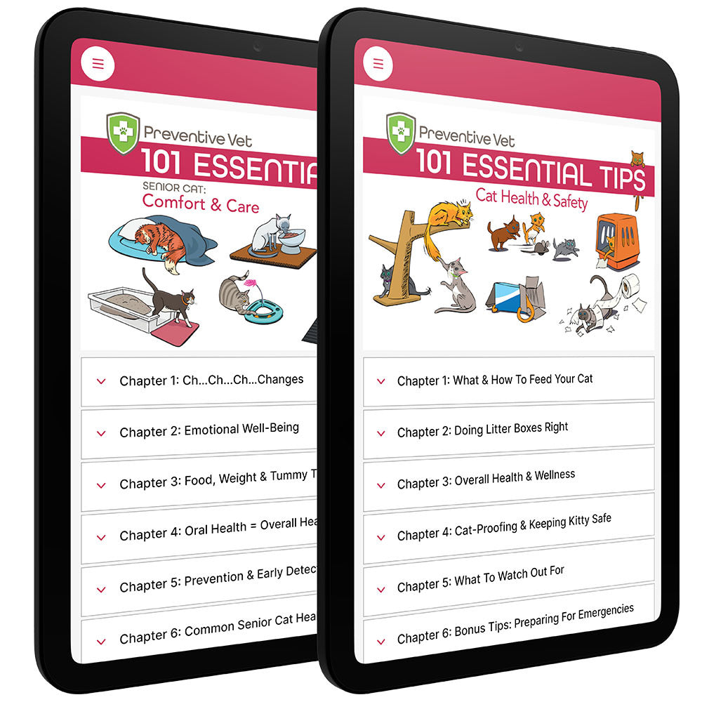 101 Essential Tips Digital Book Cat Combo – Health & Safety + Senior Cat