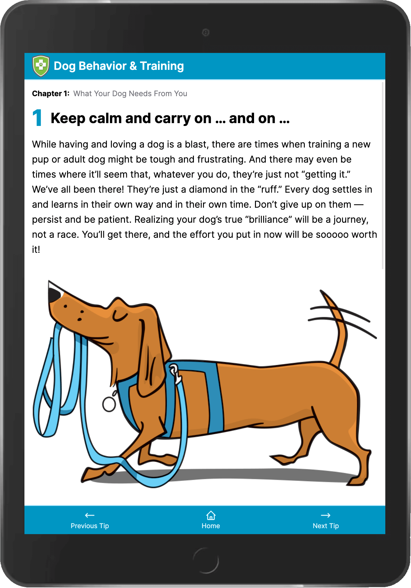 Subscription Renewal - Digital Education - Dog & Cat