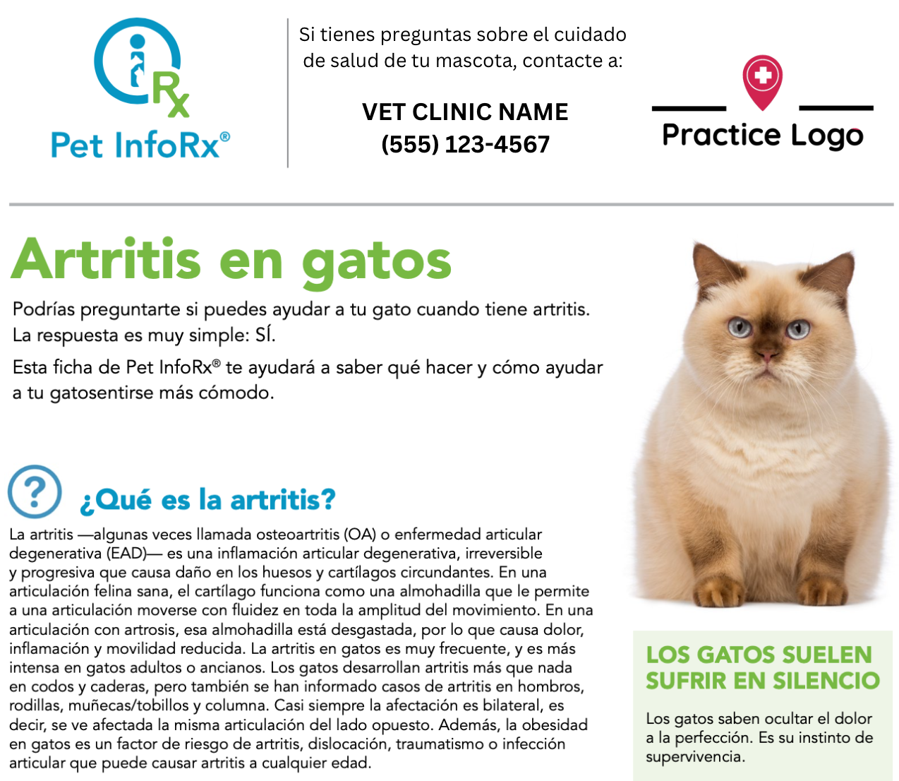 Subscription Renewal - Digital Education - Cat