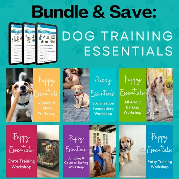 Mix Match Dog Training Essentials Package