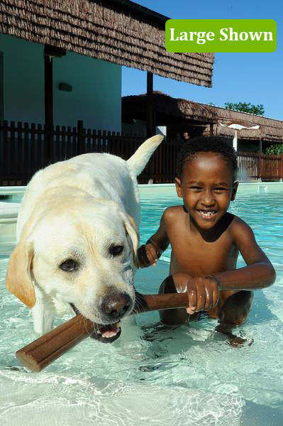 Dog playing in water with large fetch stick