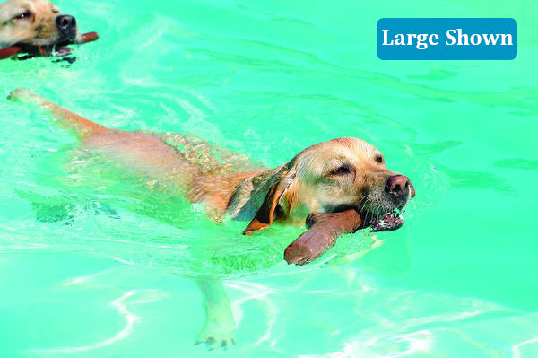 Two dogs swimming while retrieving large fetch sticks