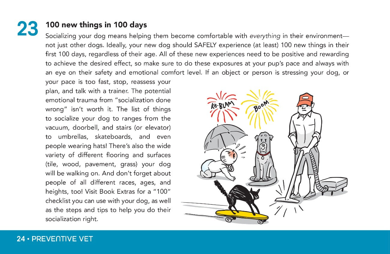 100 things in 100 days - puppy socialization
