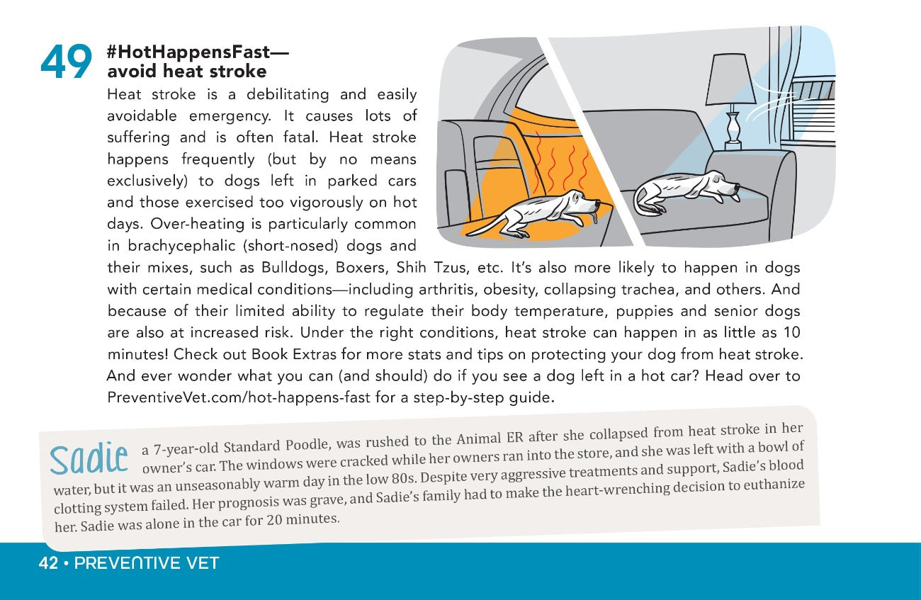 Preventing heat stroke in pets - Dog and Cat Health and Safety Books