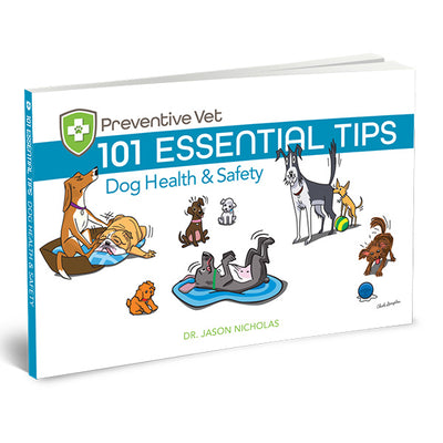 101 Essential Tips – Dog Health & Safety