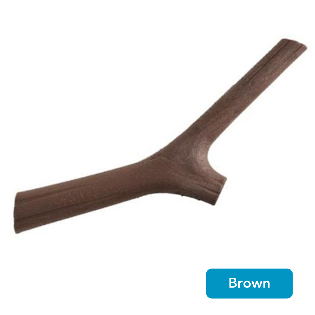 brown dog fetch stick