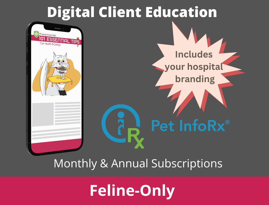 Digital Education Subscription - Cat