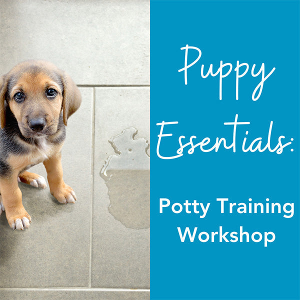 Mix & Match Dog Training Essentials Package