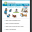 IBPSA Preventive Vet Subscription (Location 1)