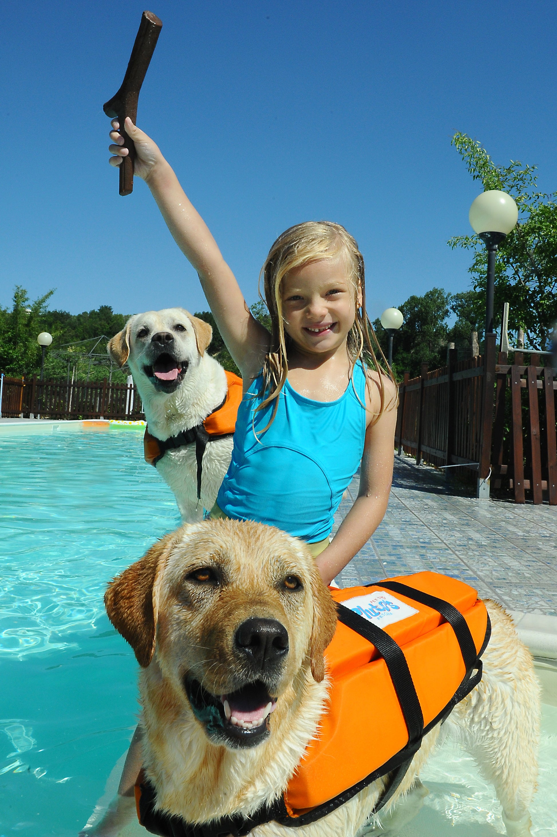 Young girl posing with fetch stick and two cute dogs in lifejackets in swimming pool