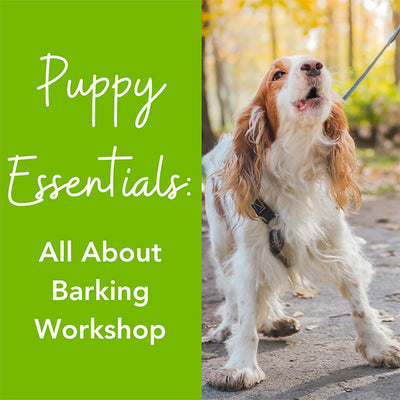 Dog Training Essentials: All About Barking Workshop