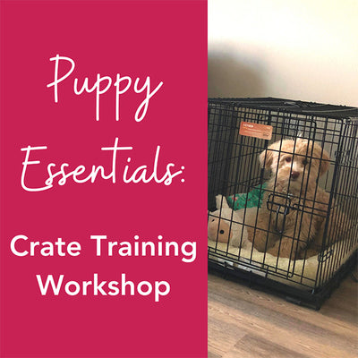Puppy Essentials: Crate Training Workshop
