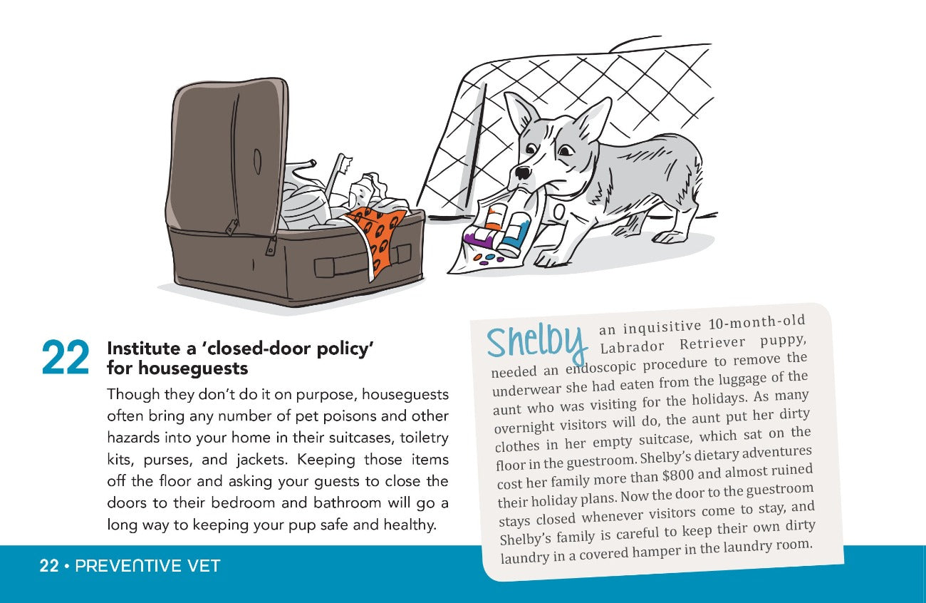 Safety around the house - Dog health and safety tips book