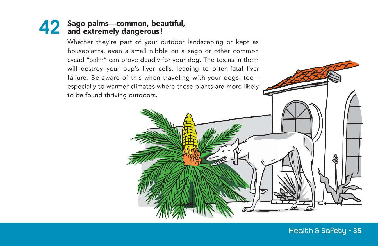 Sago palm pet toxicity awareness - Dog health and safety tips book