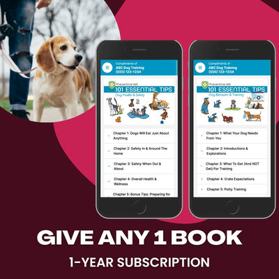 Dog Trainer Client Education Subscription