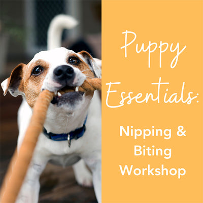 Puppy Essentials: Nipping & Biting Workshop