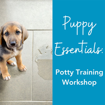 Puppy Essentials: Potty Training Workshop