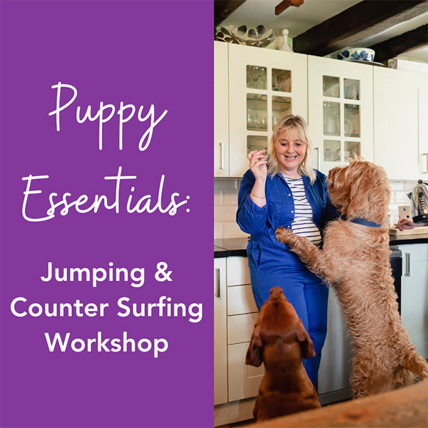 Dog Training Essentials: Jumping & Counter Surfing Workshop
