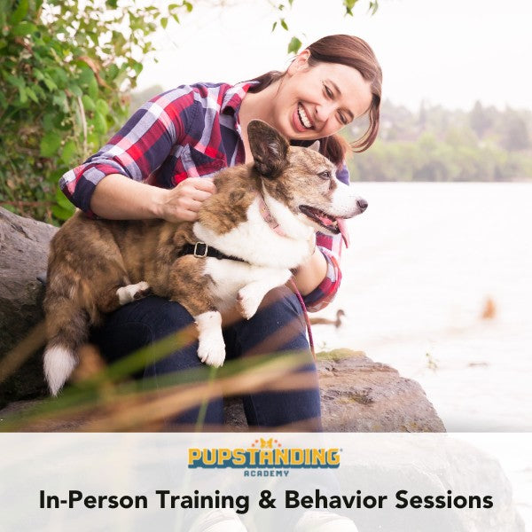 Seattle In-Person Dog Training & Behavior Consultations