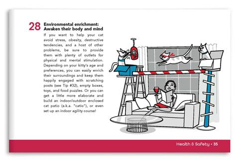 Cat environmental enrichment tip - Cat Health and Safety Books