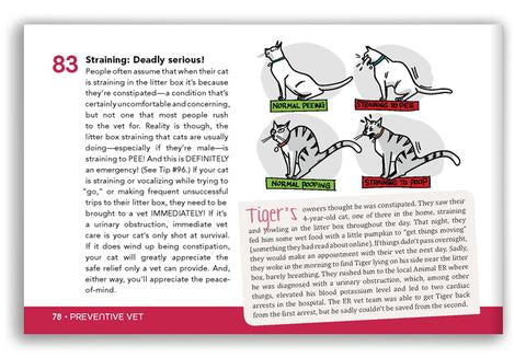 영문도서) General Cat Care: Basic Health & Care Tips To Keep Your Cat Healthy:  Tip