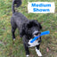 Portuguese Water Dog with Medium Cobalt Blue Fetch Toy