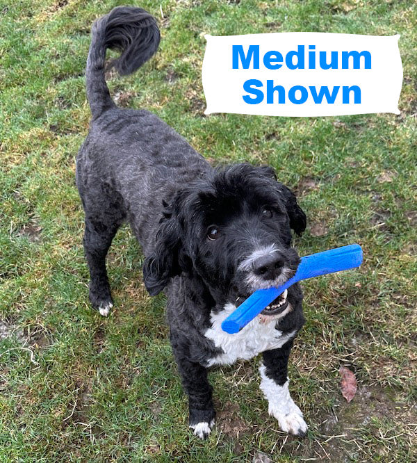 Portuguese Water Dog with Medium Cobalt Blue Fetch Toy