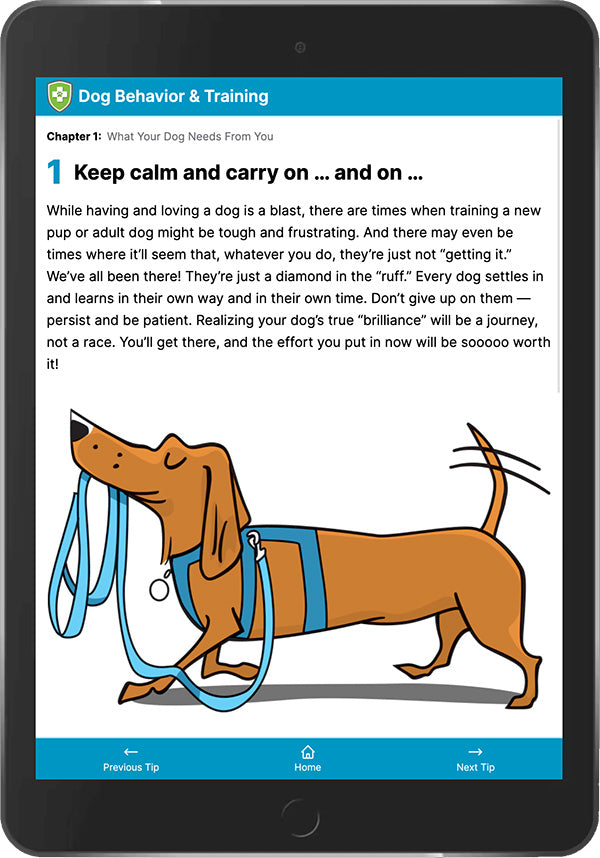 101 Essential Tips Digital Book – Dog Behavior & Training