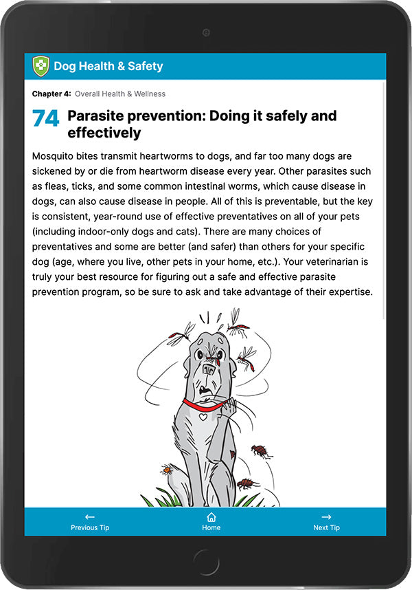 101 Essential Tips Digital Book – Dog Health & Safety