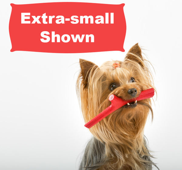 The Best Fetch Toy For Dogs – Preventive Vet